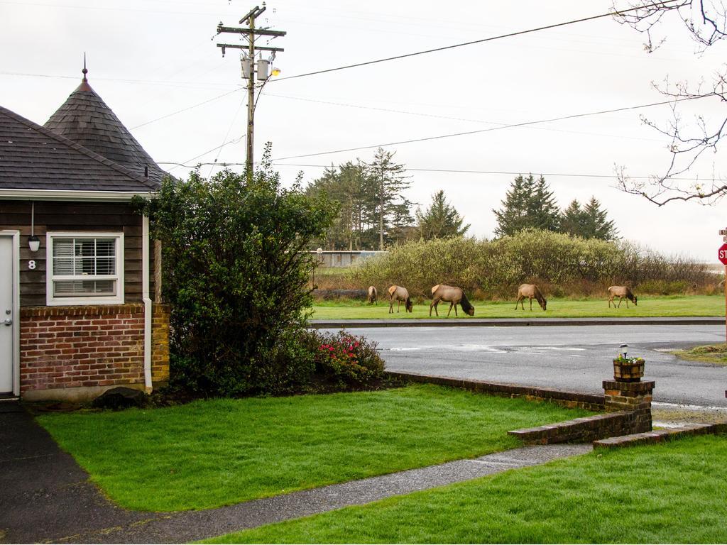 Ecola Creek Lodge Cannon Beach Extérieur photo