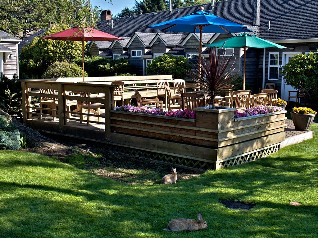 Ecola Creek Lodge Cannon Beach Extérieur photo